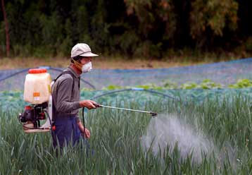 Κίνδυνος για νόσο του Πάρκινσον από τη χρόνια έκθεση σε παρασιτοκτόνα
