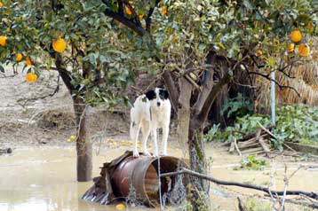 Μεγάλες υλικές ζημιές από τις πλημμύρες στη Σαμοθράκη
