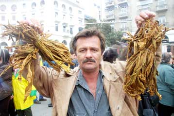 Ένταξη σε προγράμματα συνταξιοδότησης και απασχόλησης ζητούν οι καπνεργάτες