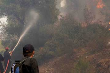 Έσβησε πυρκαγιά που ξέσπασε στο Αλσος Συγγρού στο Μαρούσι