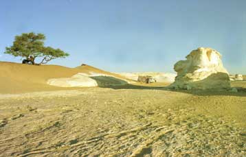 Η Αιθιοπία θα αποσχιστεί από την Αφρική, προβλέπουν γεωλόγοι