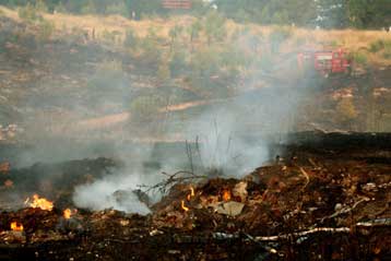 Συνελήφθησαν δύο νεαροί για εμπρησμούς σε άλση της Αττικής