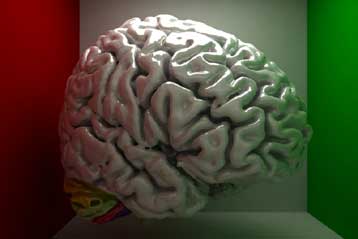 Μοριακοί καθαριστές κάνουν «απεργία» στη νόσο του Αλτσχάιμερ