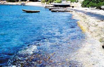 Ρύπανση από πετρελαιοειδή σε θαλάσσια περιοχή της Σαλαμίνας