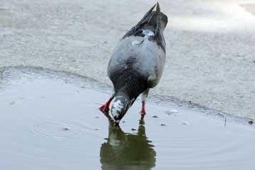 Κύμα καύσωνα σε όλη τη χώρα μέχρι την Τρίτη