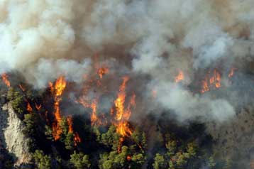 Υπό έλεγχο δύο πυρκαγιές στην περιοχή της Πελοποννήσου