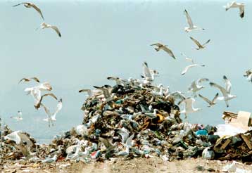 Δηλητηριασμένο για δεκαετίες το έδαφος στις παράνομες χωματερές