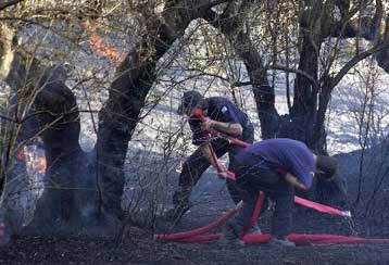 Μεγάλη πυρκαγιά σε δασική περιοχή στην Τρίπολη