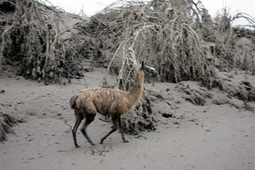 Σε κατάσταση εκτάκτου ανάγκης επαρχίες του Ισημερινού μετά την έκρηξη του ηφαιστείου
