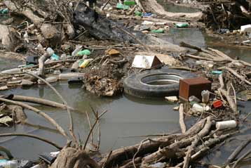 Γεωργικά φάρμακα και απόβλητα μετέτρεψαν σε βούρκο τον Πηνειό