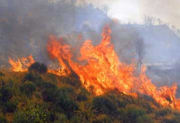 Μεγάλη πυρκαγιά «γλείφει» χωριά της Μάνης