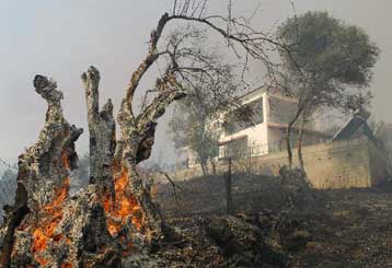 Σε ύφεση η πυρκαγιά στη Λακωνία