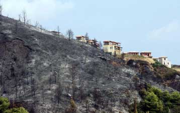 Δεκάδες χιλιάδες καμένα στρέμματα άφησε πίσω του ο πύρινος εφιάλτης στη Χαλκιδική