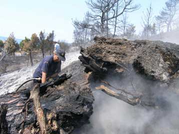 Κλιμάκια της κυβέρνησης και της αντιπολίτευσης επισκέφθηκαν τη Μάνη