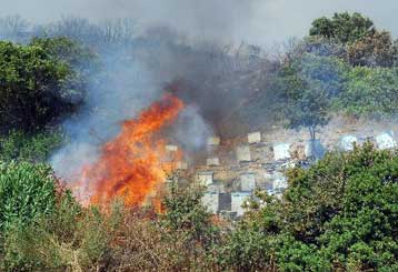 Σε ύφεση οι πυρκαγιές σε ανατολική Μάνη, Μαίναλο και Χαλκιδική