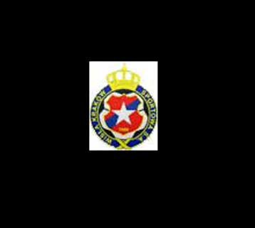 To προφίλ της Βίσλα Κρακοβίας