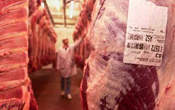 Ύποπτο βελγικό κρέας παραγωγής 1999 έφτασε το 2006 στα πιάτα μας