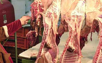 Ερώτηση ΣΥΝ στη Βουλή για το βελγικό κρέας