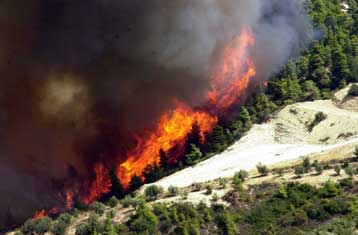 Στις φλόγες παραδόθηκαν κτίσματα στη Μάνδρα Αττικής