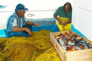 Επιδοτούμενη απόκτηση Η/Υ και σύνδεση Internet για 11.000 αγρότες και αλιείς