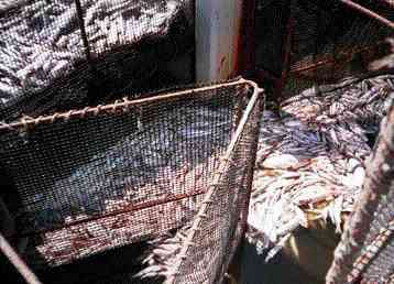 Υπολείμματα απαγορευμένων φυτοφαρμάκων εντοπίζονται ακόμη στην τροφική αλυσίδα