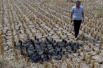 Πρωτοφανής ξηρασία πλήττει πυκνοκατοικημένες επαρχίες της Κίνας