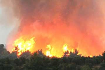 Η Αθήνα αρνήθηκε τη βοήθεια της ΕΕ για την κατάσβεση των πυρκαγιών σε Χαλκιδική, Μάνη