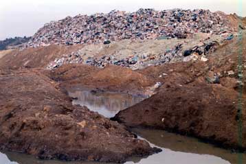 Αυξημένες οι διοξίνες σε γάλα και ελιές από τους Ταγαράδες
