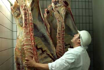 Κατασχέθηκαν 712 τόνοι προϊόντων ζωικής ή φυτικής προέλευσης