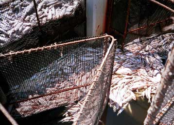 Υπολείμματα απαγορευμένων φυτοφαρμάκων εντοπίζονται ακόμη στην τροφική αλυσίδα