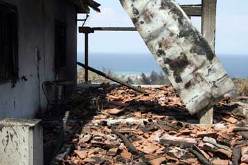 Πιστωτικές διευκολύνσεις προς επιχειρήσεις της Χαλκιδικής που επλήγησαν από την πυρκαγιά