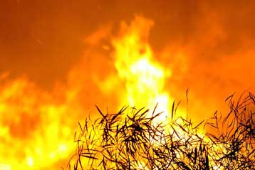 «Κάποιος φταίει» για την καταστροφή από την πυρκαγιά, λένε οι πολίτες της Λακωνίας