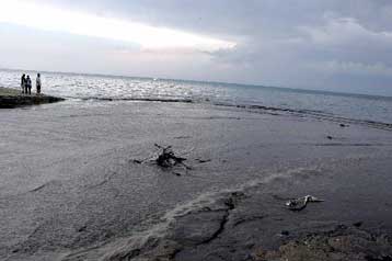 Απώλειες 2 εκατ. ευρώ προκάλεσε η πυρκαγιά στις τουριστικές επιχειρήσεις της Χαλκιδικής