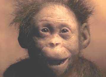 Το απολιθωμένο βρέφος της Λούσι βρέθηκε στην Αφρική