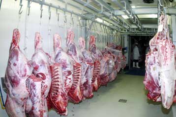 Ίχνη εντομοκτόνου σε τυρί και διοξίνες σε κρέας εντόπισε έρευνα της WWF