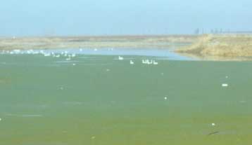 Περιβαλλοντική ρύπανση στο Κορωπί από τα απόβλητα βιομηχανιών