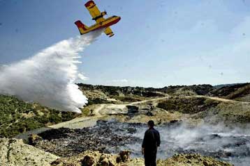 Περιβαλλοντική καταστροφή στους Ταγαράδες από τη φωτιά, τονίζει ο Στ.Δήμας