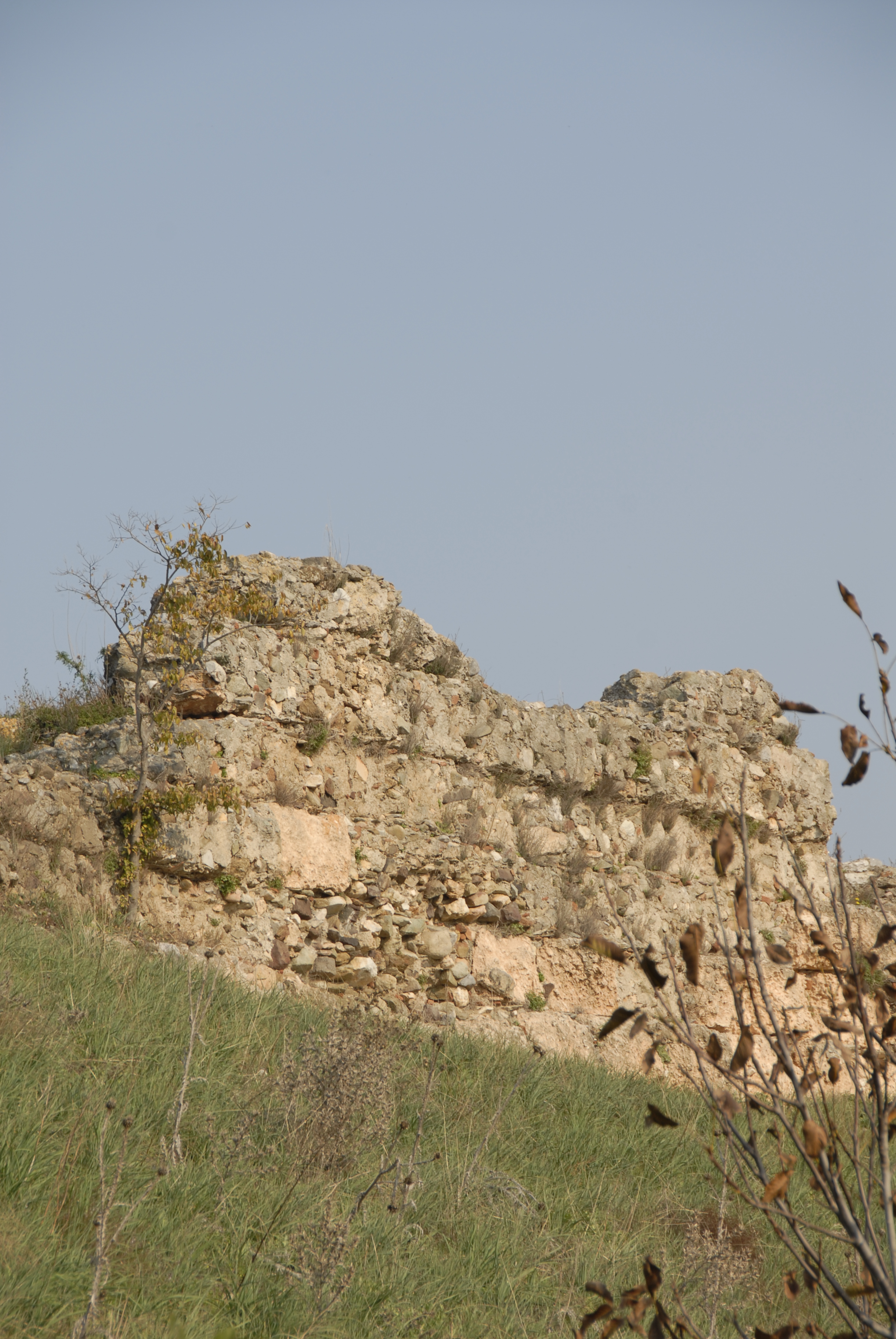 Ωρεοί, ένας… ταύρος στο λιμάνι