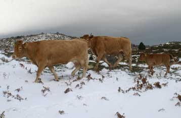 Νέα επιδείνωση θα παρουσιάσει ο καιρός από την Πέμπτη
