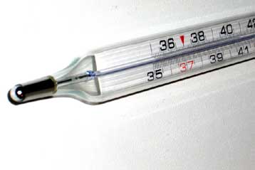 Η μείωση της θερμοκρασίας του σώματος παρατείνει τη ζωή σε πειραματόζωα