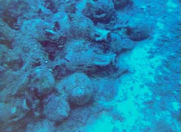 Ναυάγιο με 1.500 ρωμαϊκά αγγεία εντοπίστηκε στην Ισπανία