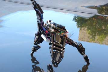 Πρωτοποριακό ρομπότ μαθαίνει να ξεπερνά τις βλάβες του