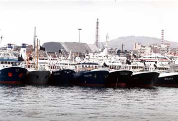 Νέος κοινοτικός Κανονισμός για την αλιεία στη Μεσόγειο