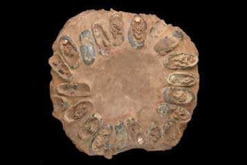 Σπάνια φωλιά δεινόσαυρου βγαίνει σε δημοπρασία