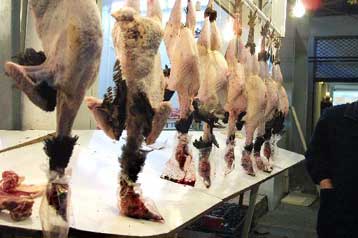 Πάνω από τα οκτώ ευρώ «πετάει» η τιμή της γαλοπούλας