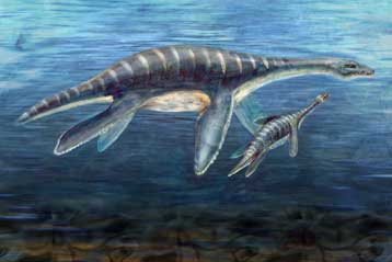 Απολιθωμένο βρέφος πλησιόσαυρου βρέθηκε στην Ανταρκτική