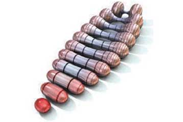 Η Εικασία του Πουανκαρέ κορυφαίο επιστημονικό επίτευγμα του 2006