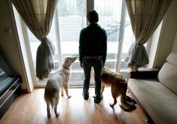 Προειδοποίηση για επιδημία λύσσας στα αδέσποτα της Νέας Υόρκης