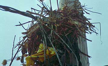 Παγίδα θανάτου οι κακοτεχνίες στο καλοριφέρ για ένα ζευγάρι στην Ηλεία