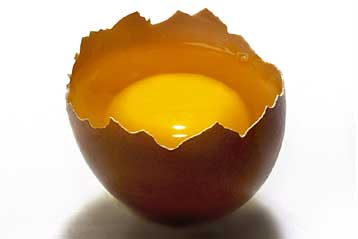 Γενετικά τροποποιημένα αβγά δίνουν αντικαρκινικές ουσίες